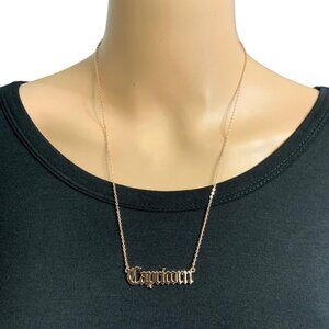 Capricorn Zodiac Necklace Rose Gold Stainless Steel Chain Personalized Astrology